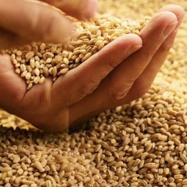 Maltings2